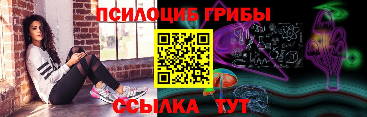 Галлюциногенные грибы Cubensis  Вход с VPN  цены   Губаха 