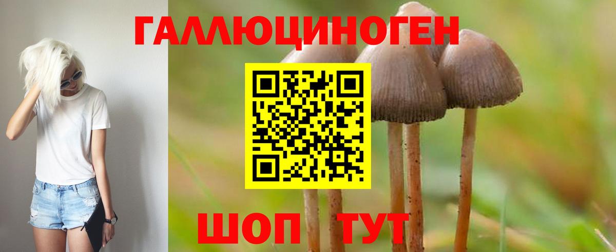 Псилоцибиновые грибы GOLDEN TEACHER Губаха